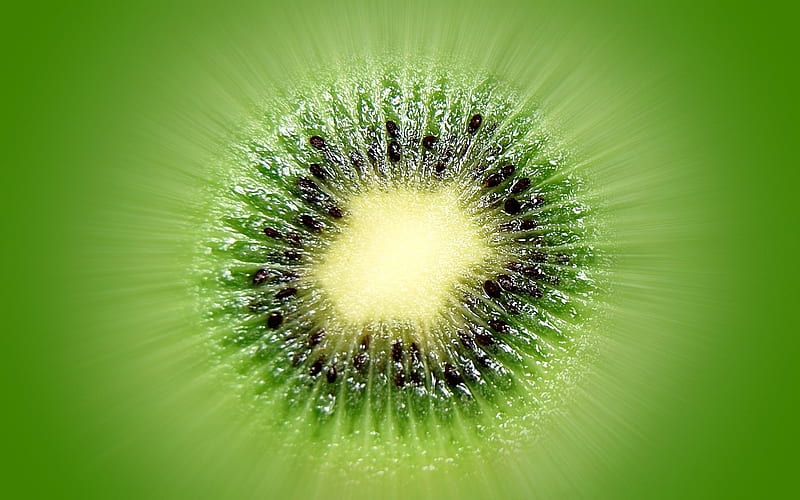 kiwi green fruit-Macro, HD wallpaper
