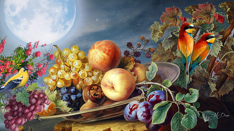 Fruit & Birds, Firefox theme, fall, autumn, harvest, food, apples, birds, floral, grapes, fruit, moon, leaves, flowers, summer, peach, HD wallpaper