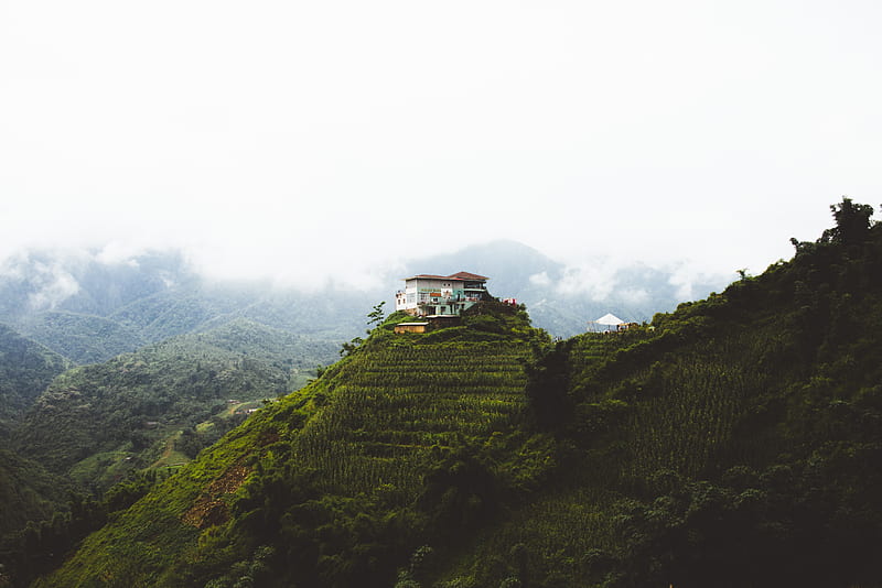 House at the top of mountain, tree, nature, sky, Mountain, mist, fog, HD wallpaper