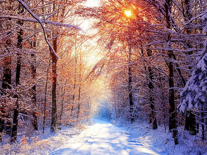 Deep Silence, snow, silence, bonito, sunset, winter, HD wallpaper