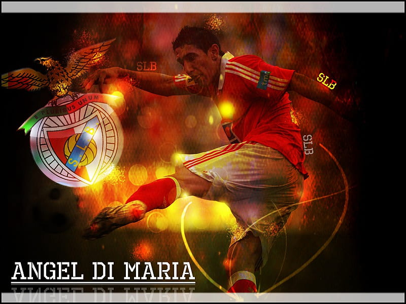Angel Di Maria, dimaria, aguia, estadio da luz, campeoes, benfica, vermelho, HD wallpaper