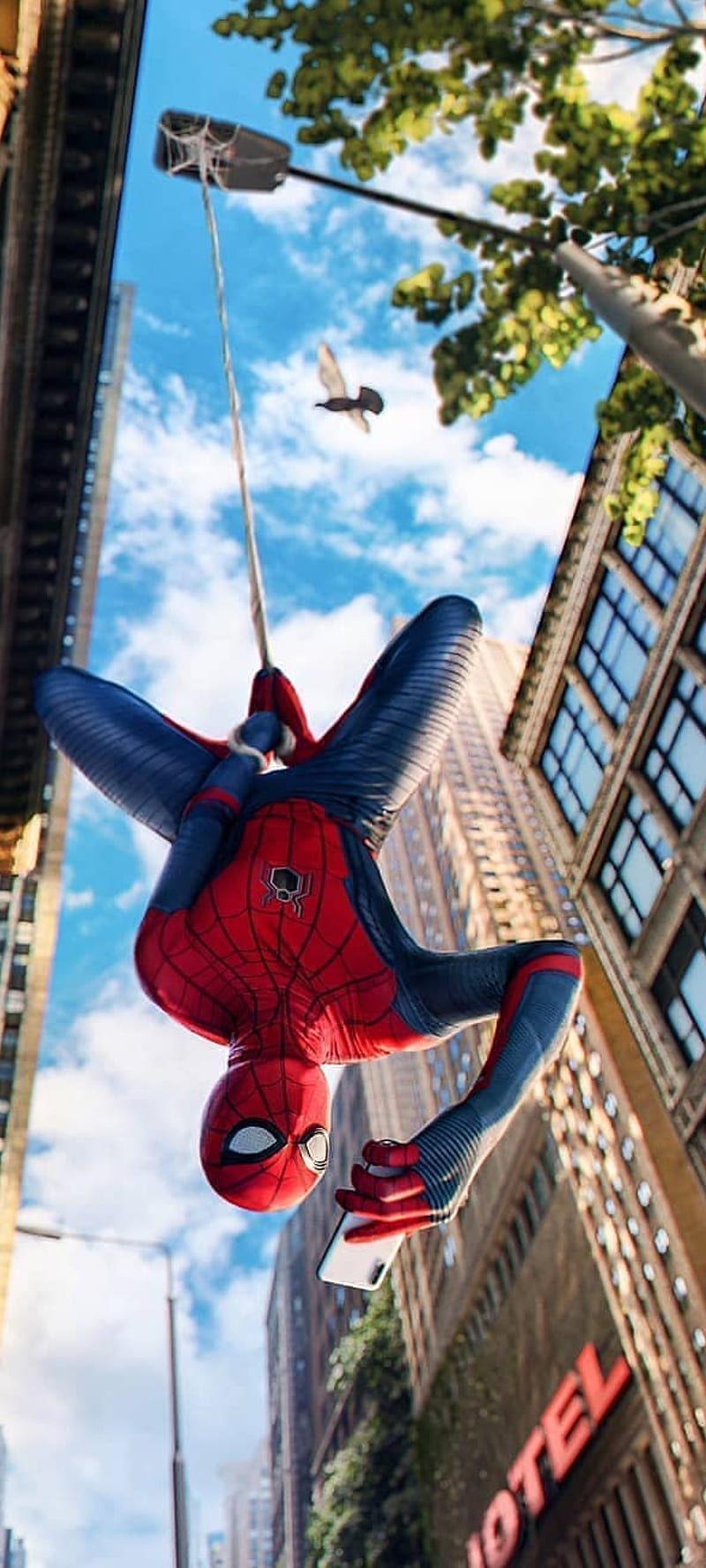 Spiderman, anime, spider, HD phone wallpaper | Peakpx