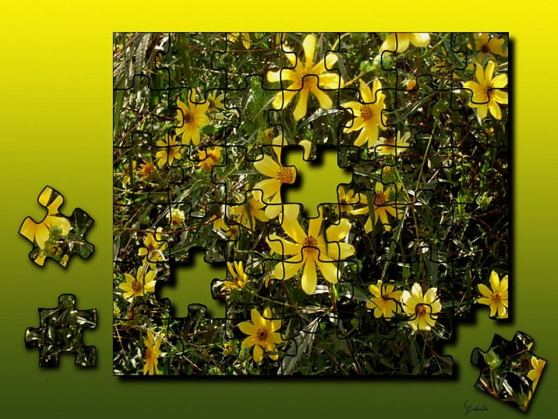 Puzzle, 3d, HD wallpaper