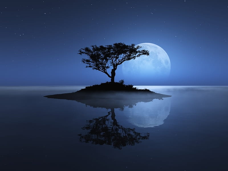 The moon kissing the sea, tree, moon, island, abstract, sea, HD wallpaper