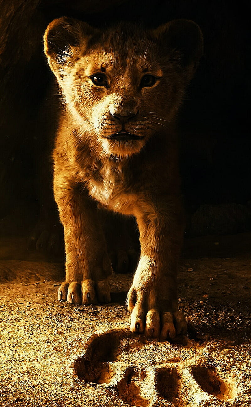 THE LION KING, tiger, lioness, HD phone wallpaper