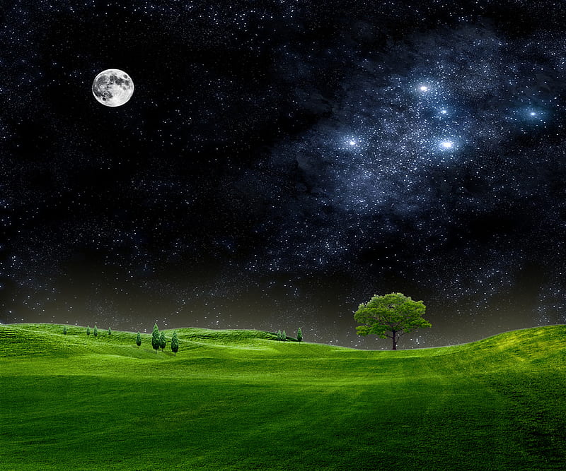 night sky, cool, desenho, field, natural, nature, new, stars, tree, HD wallpaper