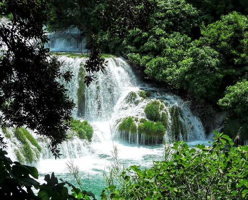 Waterfall, croatia, forest, krka, summer, HD wallpaper
