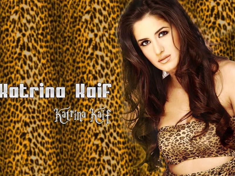 Katrina Kaif, pretty, nice, animalistic, lovely, HD wallpaper