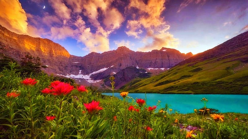 Sunrise at Cracker Lake, Montana, landscape, clouds, flowers, sky ...