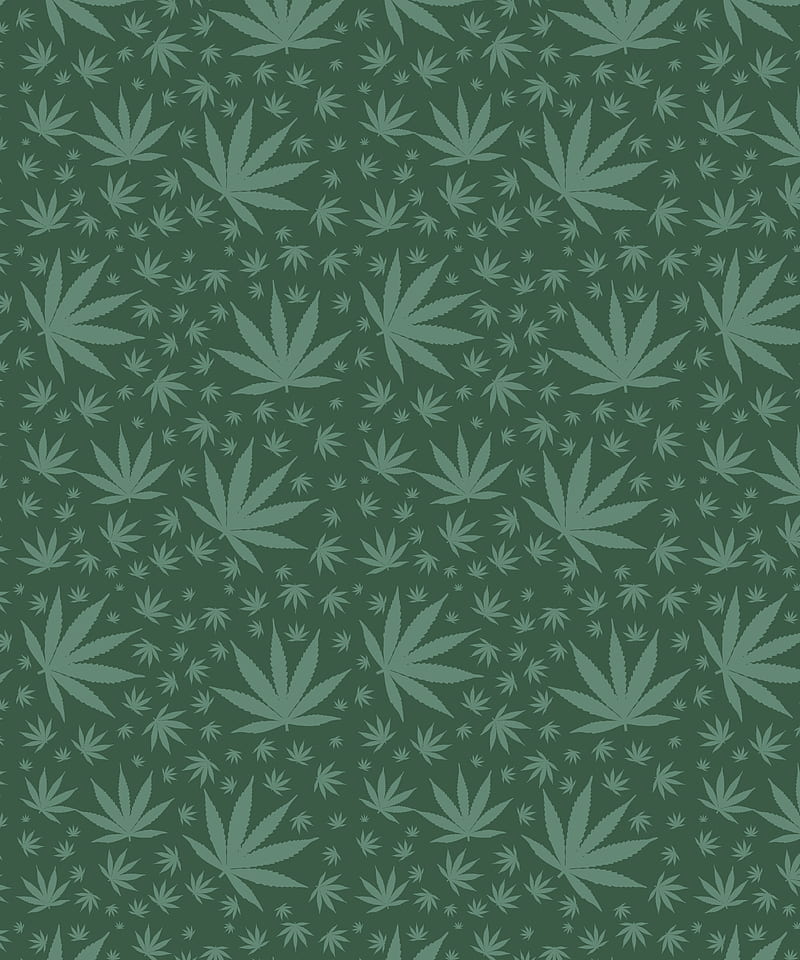 Cannabis Leaves Green, bong, dagga, hash, hashish, iCreate, joint, marijuana,  HD phone wallpaper | Peakpx