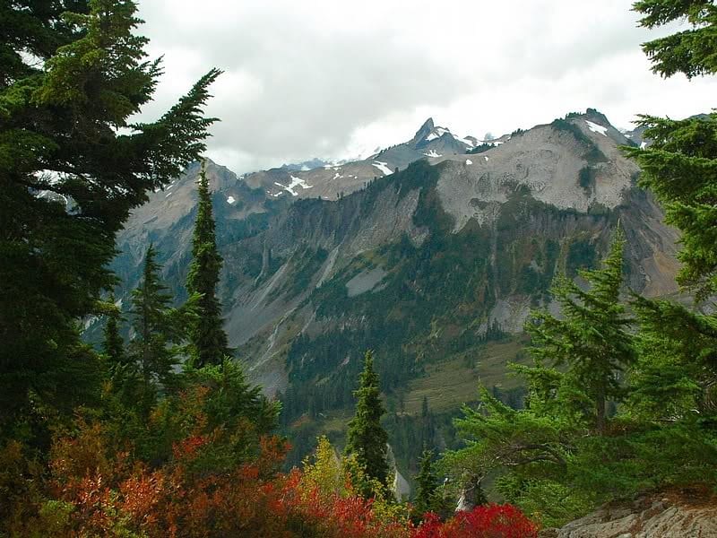 Mount Baker, mountain, sky, trees, brush, HD wallpaper