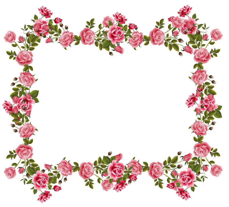 Floral frame, trandafiri, rose, frame, floral, card, green, flower, white, pink, HD wallpaper