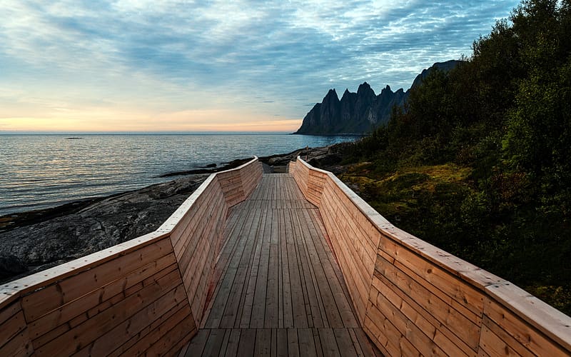 Coast Plank road Travel Senja Island Norway, HD wallpaper