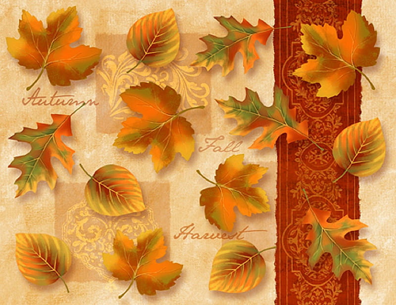 'Autumn Leaves', fall, draw and paint, autumn, lovely, frame, colors, love four seasons, autumn beauty, bonito, creative pre-made, leaves, paintings, nature, HD wallpaper