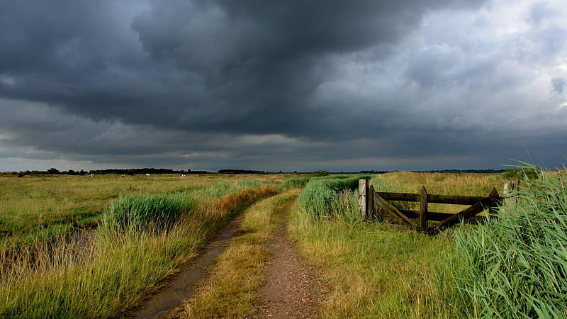Stormy sky, rural, 2560x1440, country, background, HD wallpaper