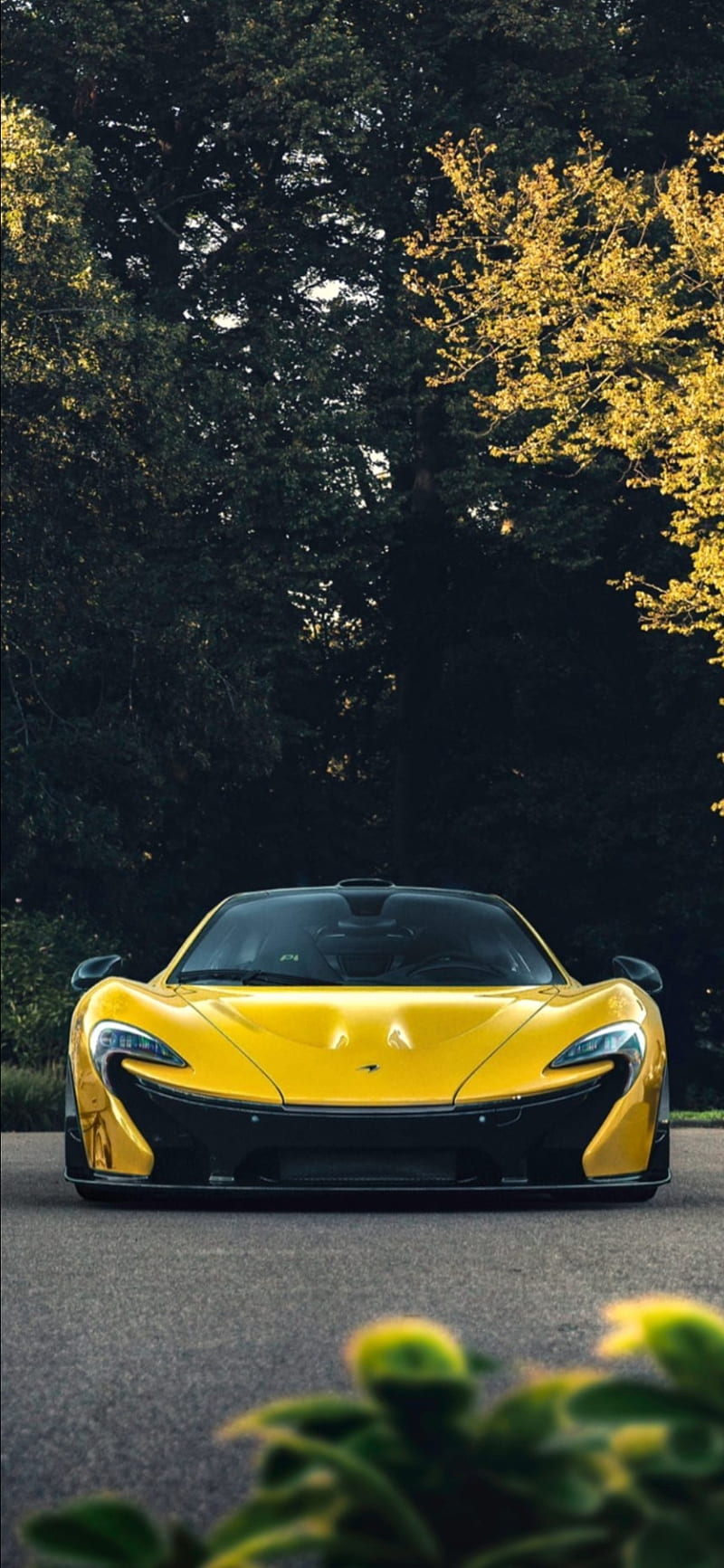 McLaren P1, car, carbon, hypercar, new, supercar, yellow, HD phone wallpaper