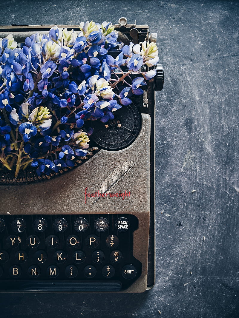 lupins, flowers, typewriter, HD phone wallpaper
