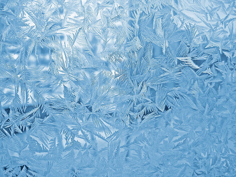 Earth, Frost, Pattern, Winter, HD wallpaper