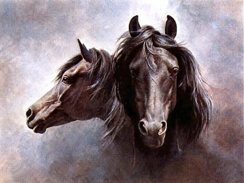 Black Stallion - Horse F2, art, equine, black, stud, horse, stallion, stone, painting, head study, fred stone, HD wallpaper