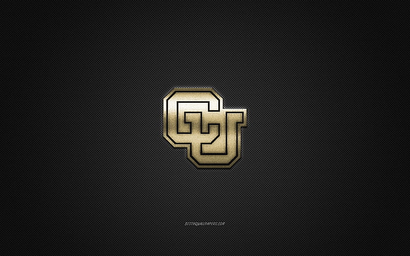 Colorado Buffaloes logo, American football club, NCAA, golden logo, gray carbon fiber background, American football, Boulder, Colorado, USA, Colorado Buffaloes, HD wallpaper