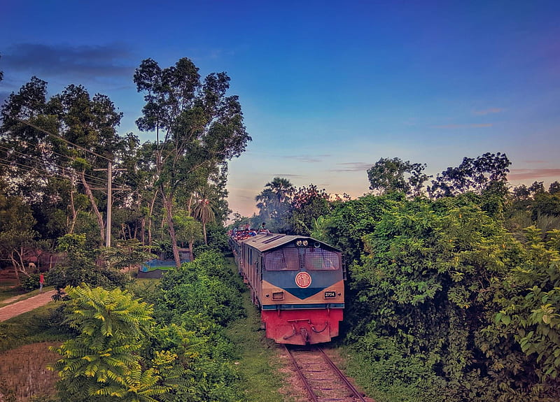 Bangladesh railway , asia, dhaka, nature, rail, south asia, train, HD wallpaper
