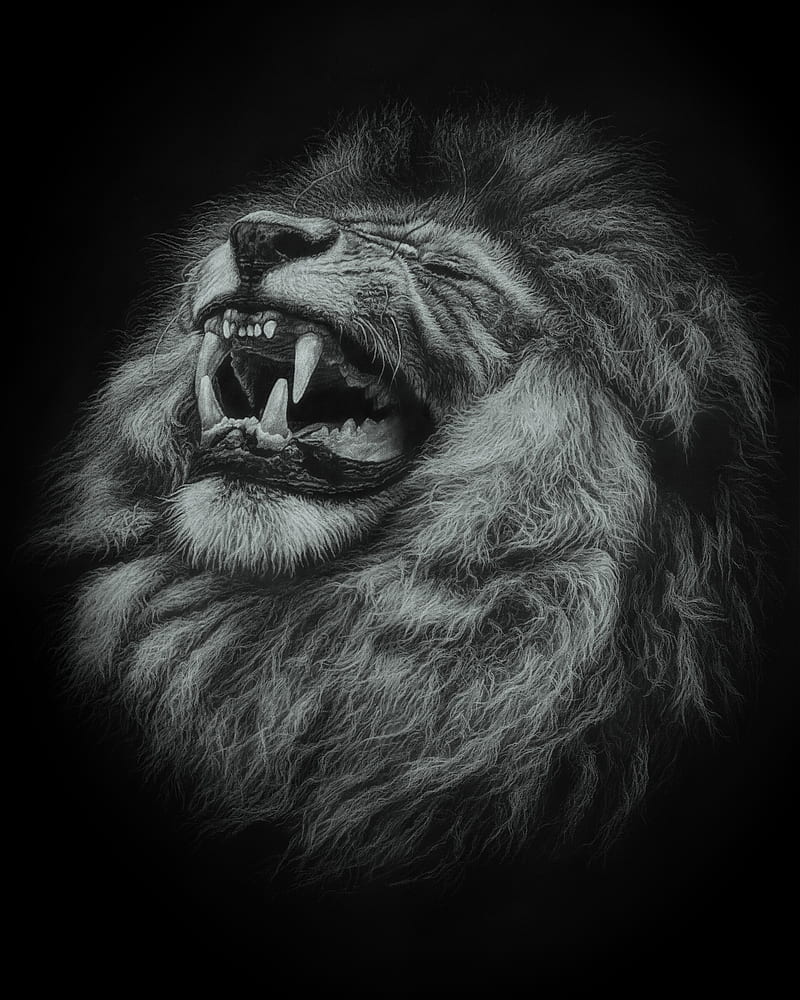 lion, grin, art, big cat, predator, HD phone wallpaper