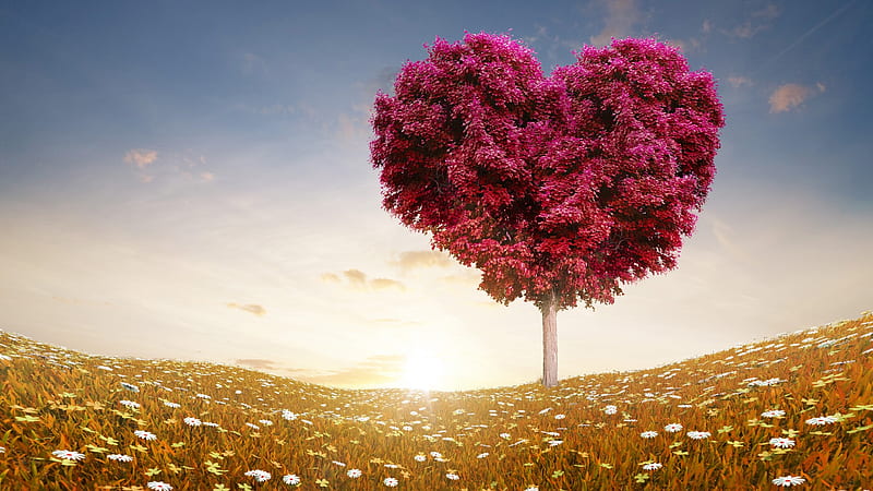 Artistic, Tree, Field, Heart, Heart-Shaped, Love, HD wallpaper | Peakpx
