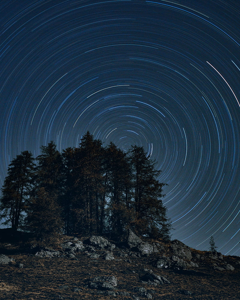 trees, starry sky, long exposure, rotation, night, dark, HD phone wallpaper