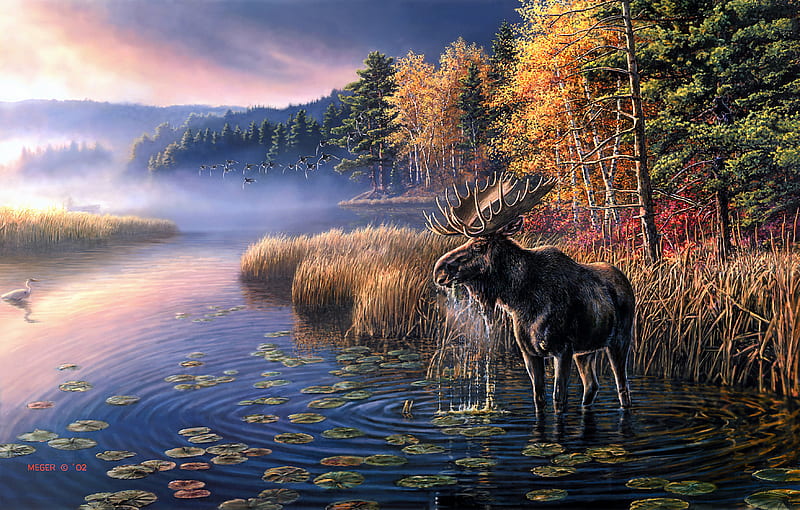 Animal, Moose, Artistic, Bird, Dawn, Fall, Fog, Heron, Lake, HD wallpaper