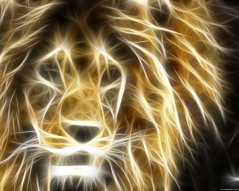 Lion, digital, HD wallpaper | Peakpx