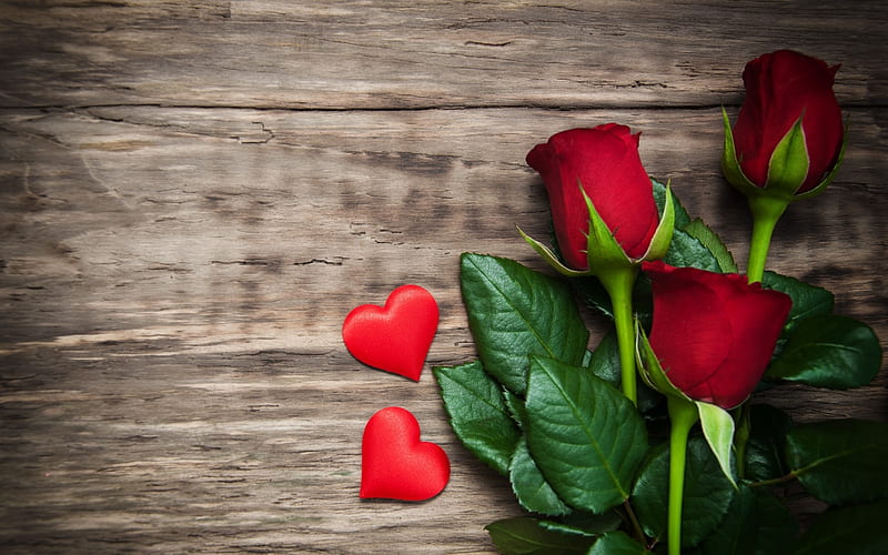 From the , red roses, love, heart, romantic day, buds, HD wallpaper