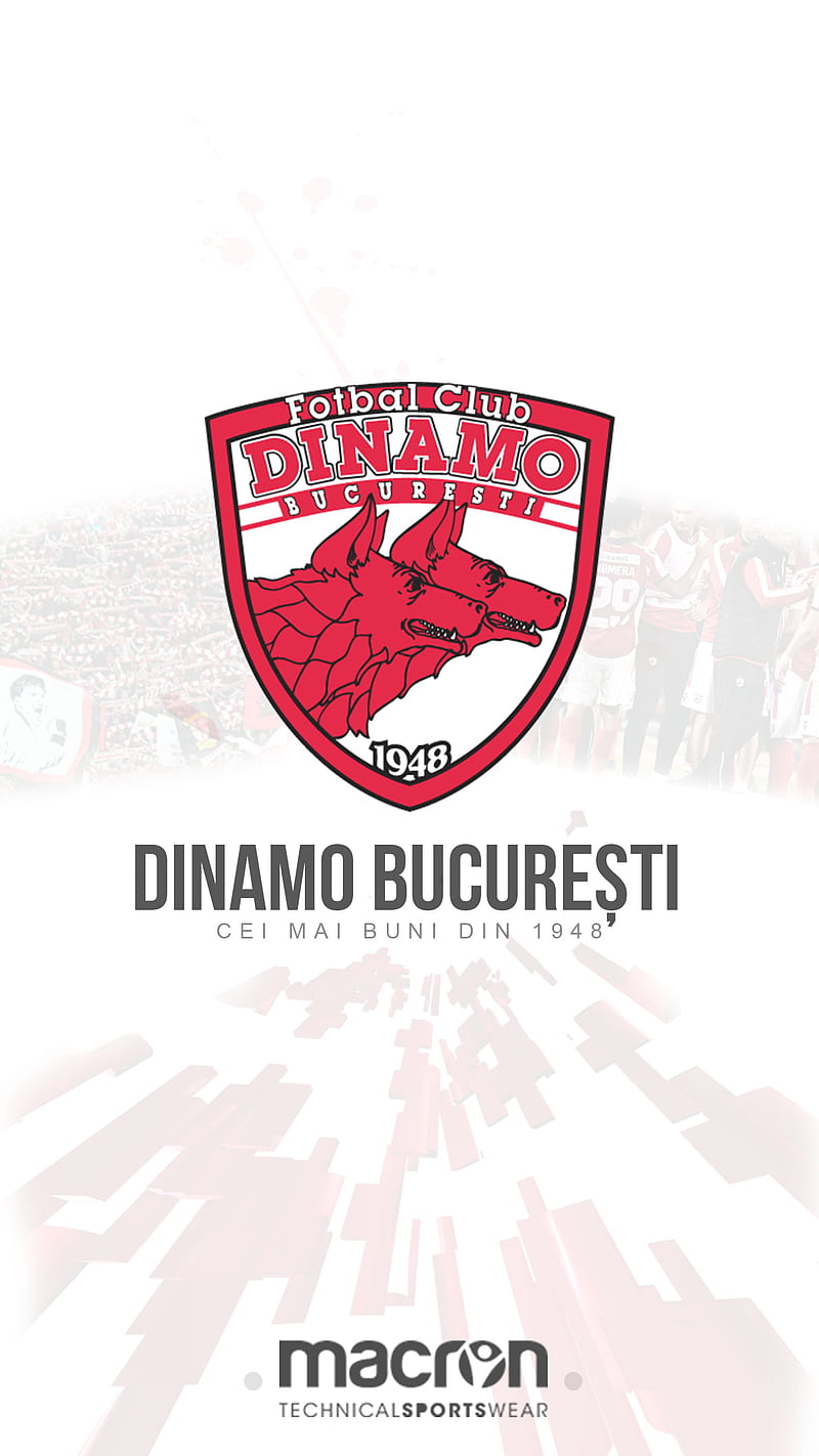 Dinamo Bucuresti, bucharest, dinamo bucharest, romania, HD phone wallpaper
