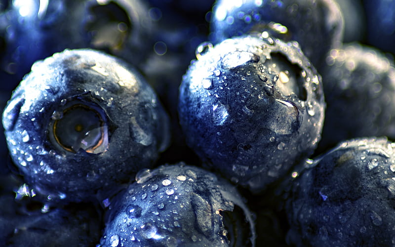 blueberries, close-up, fresh fruit, berries, dew, fruits, HD wallpaper