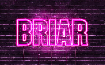 HD briars wallpapers | Peakpx