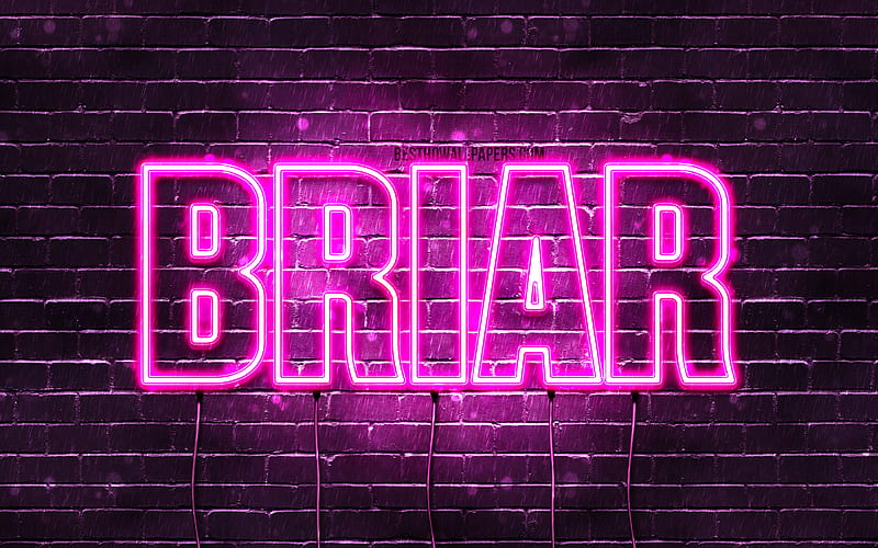 Briar with names, female names, Briar name, purple neon lights ...