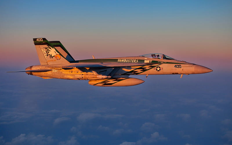 F-18, military, aircraft, f-24, HD wallpaper