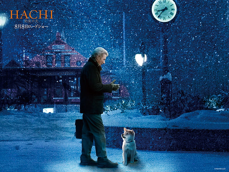 Hachiko: A Dog's Tale, hachi, hachiko, movie, shibu inu, HD wallpaper