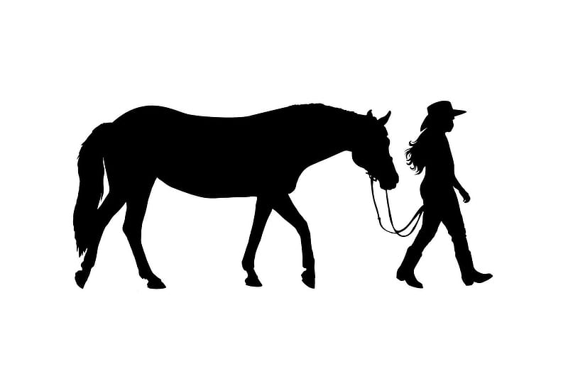 :), cowgirl, white, silhouette, cal, black, horse, HD wallpaper