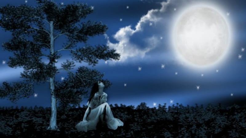 ~*~ Full Moon Night ~*~, loneliness, sadness, romantic, full moon, suffering, HD wallpaper