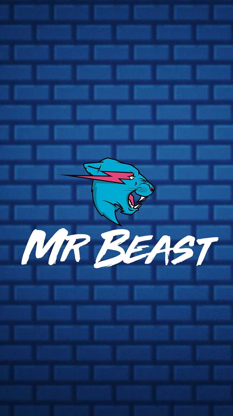 MrBeast , mr, beast, youtube, HD mobile wallpaper