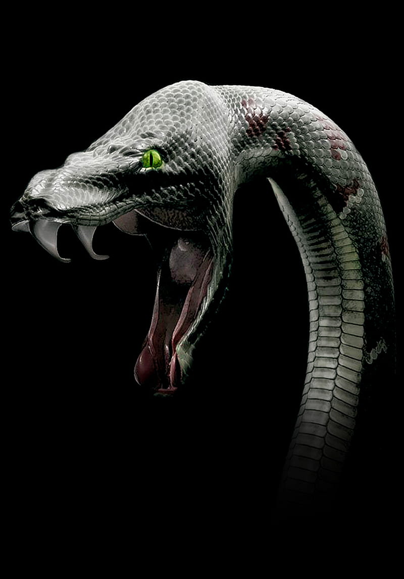 Snake , dragon, green, black background, new , snake black, HD phone wallpaper