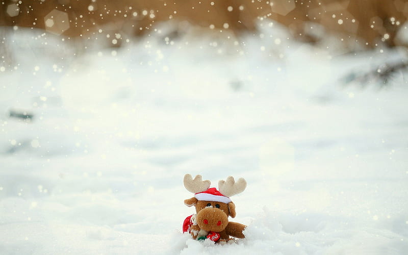 Toy moose snow-Winter Close-up, HD wallpaper