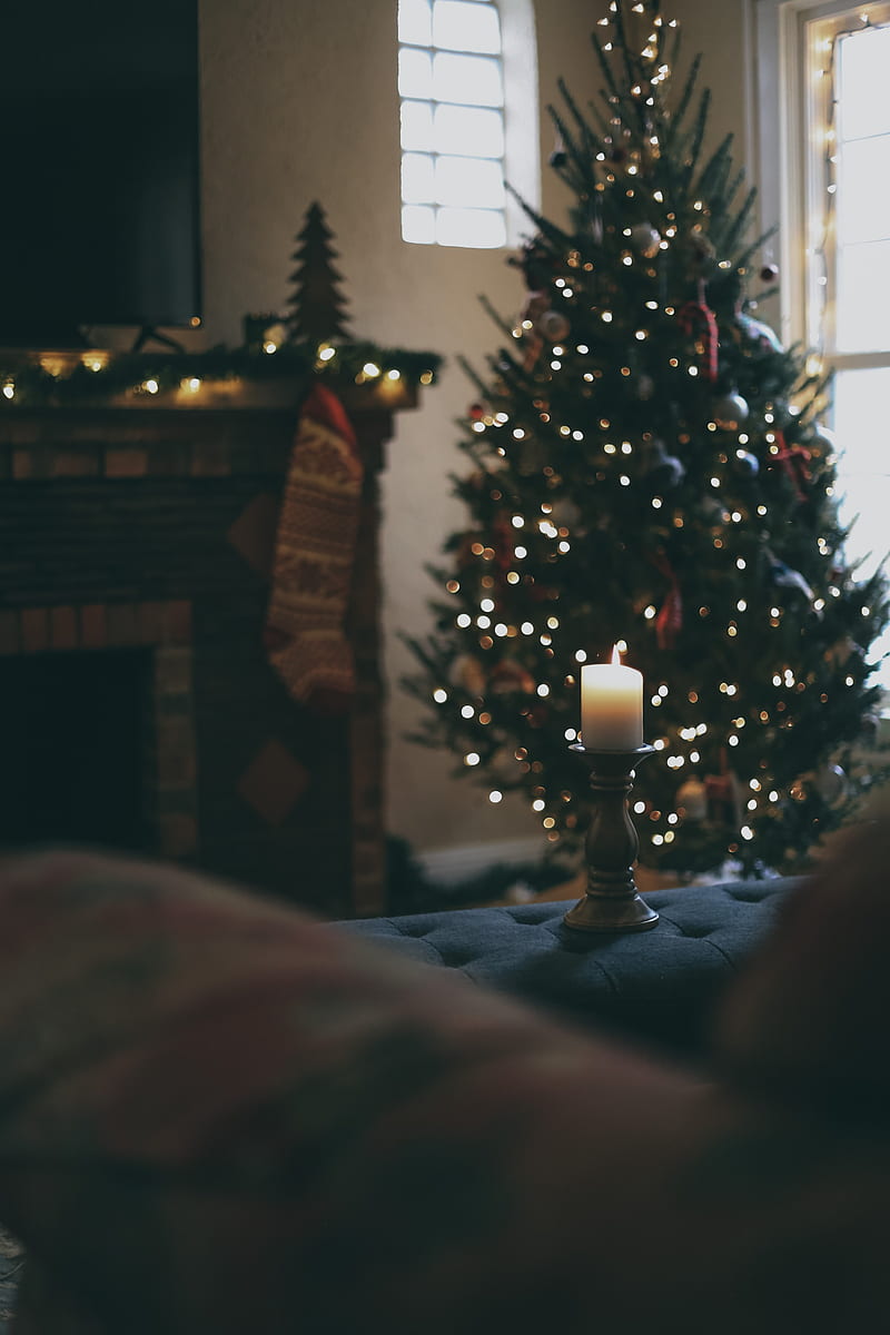 candle, christmas tree, new year, christmas, holidays, HD phone wallpaper