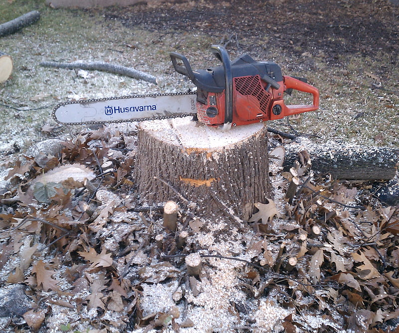 Thats All She Wrote, chainsaw, stump, tree, wood, HD wallpaper