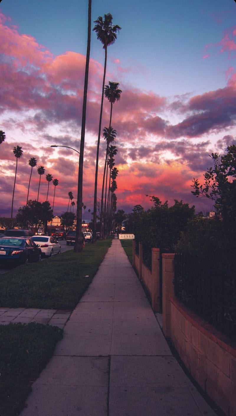 Aesthetic. Los angeles graphy, Beautiful places in california, Places in  california, HD phone wallpaper | Peakpx