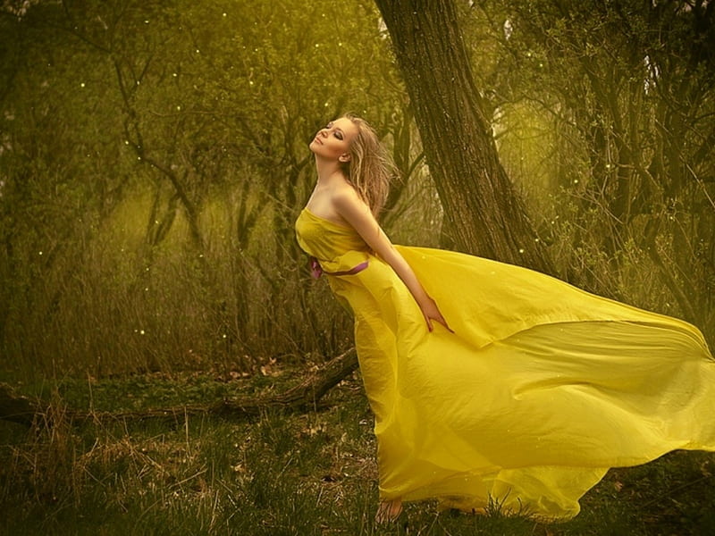 Sense of dom, girl, wind, woods, yellow dress, magic dust, trees, HD wallpaper