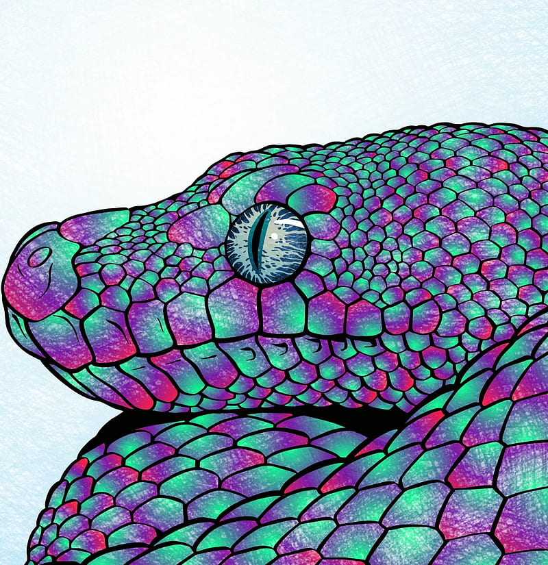 Download Snake Wallpaper