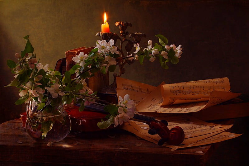 Candlelight Sonata, candle, still life, violin, books, flowers, blossoms, sheet music, cherry blossoms, HD wallpaper