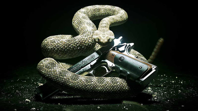 Snake With Gun Gambar, HD wallpaper