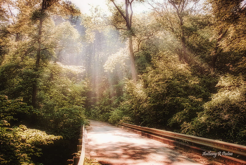 Autumn Road 2, forest, art , autumn fal, bonito, road, mornig light, HD wallpaper